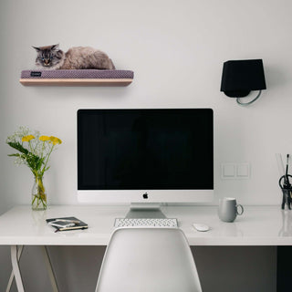 The CHILL Cat Shelf Perch by Cosy & Dozy Bundle - 1 Step (Multiple Cushion Colours Available)