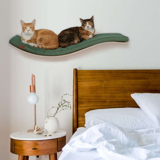 The CHILL DeLuxe Cat Shelf Perch by Cosy & Dozy – ECO Soaped Beech (Multiple Cushion Colours Available)